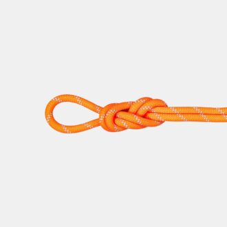 9.5 Alpine Dry Rope 60m