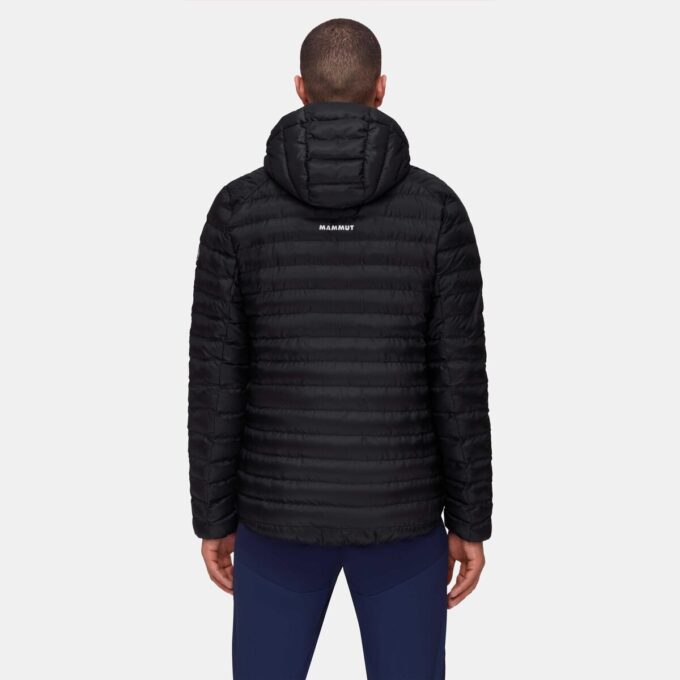 Albula IN Hooded Jacket Men