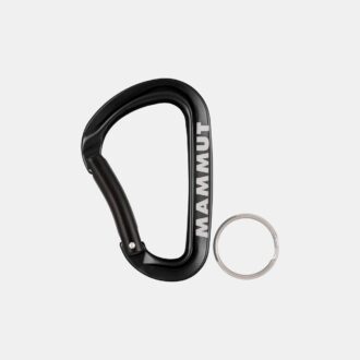 Mammut Mini Carabiner Workhorse Keylock L