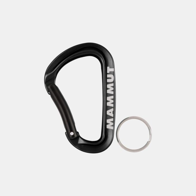 Mammut Mini Carabiner Workhorse Keylock L